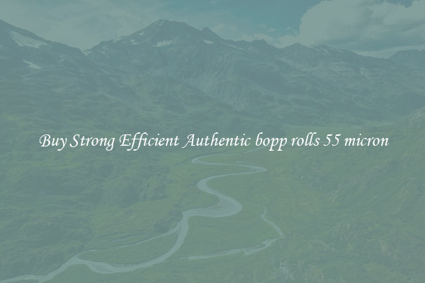 Buy Strong Efficient Authentic bopp rolls 55 micron