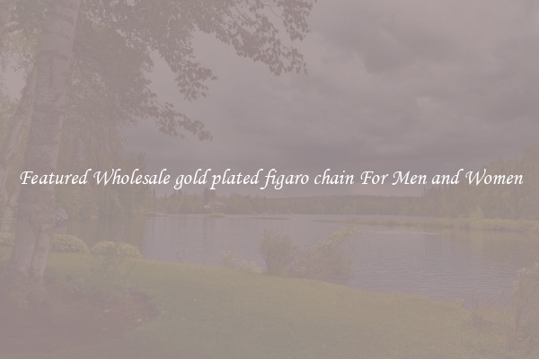 Featured Wholesale gold plated figaro chain For Men and Women