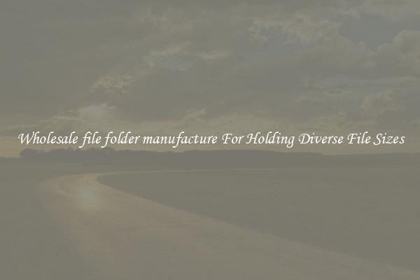Wholesale file folder manufacture For Holding Diverse File Sizes