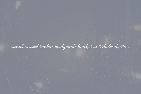stainless steel trailers mudguards bracket at Wholesale Price