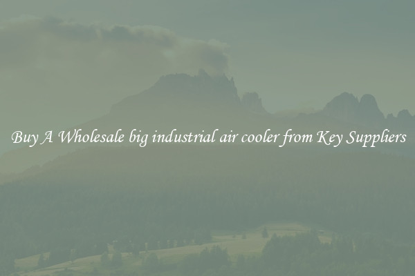 Buy A Wholesale big industrial air cooler from Key Suppliers