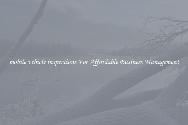 mobile vehicle inspections For Affordable Business Management