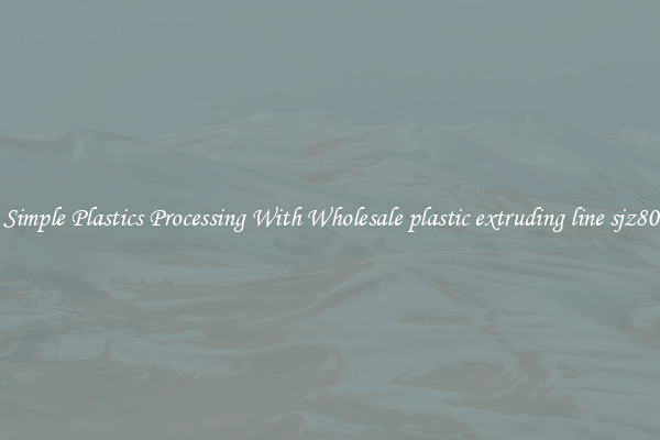 Simple Plastics Processing With Wholesale plastic extruding line sjz80