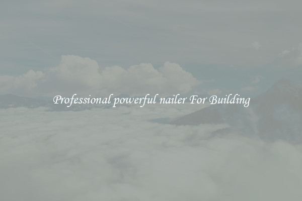 Professional powerful nailer For Building