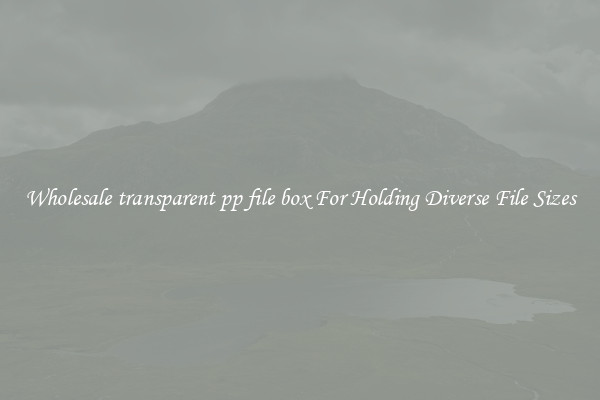 Wholesale transparent pp file box For Holding Diverse File Sizes