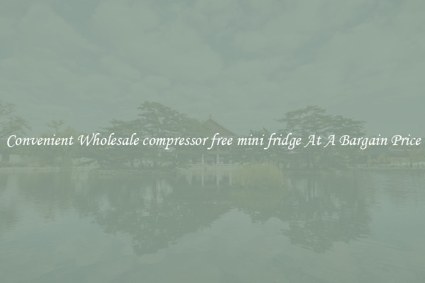 Convenient Wholesale compressor free mini fridge At A Bargain Price