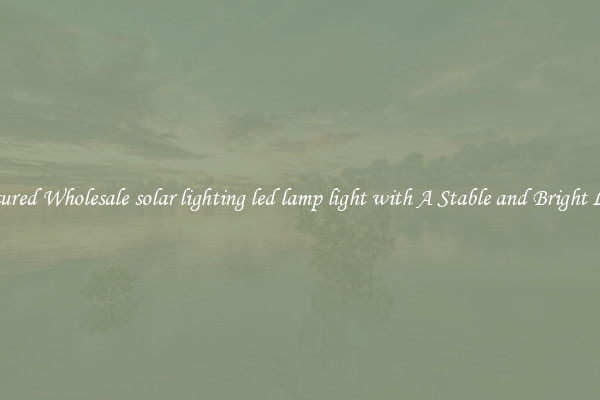 Featured Wholesale solar lighting led lamp light with A Stable and Bright Light