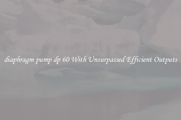 diaphragm pump dp 60 With Unsurpassed Efficient Outputs