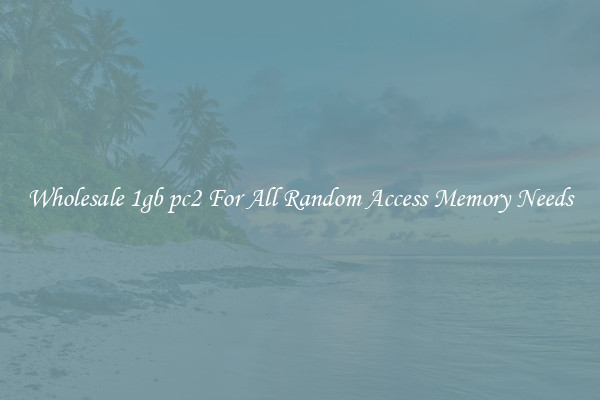 Wholesale 1gb pc2 For All Random Access Memory Needs