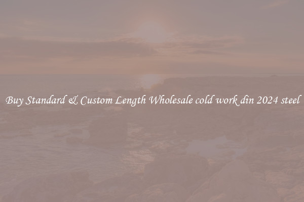 Buy Standard & Custom Length Wholesale cold work din 2024 steel