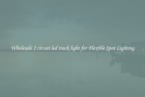 Wholesale 2 circuit led track light for Flexible Spot Lighting