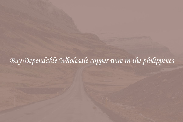 Buy Dependable Wholesale copper wire in the philippines