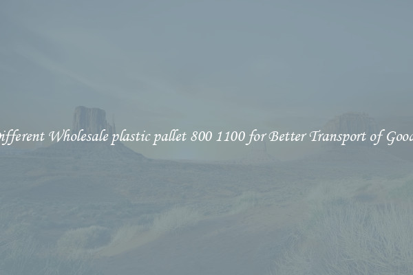Different Wholesale plastic pallet 800 1100 for Better Transport of Goods 