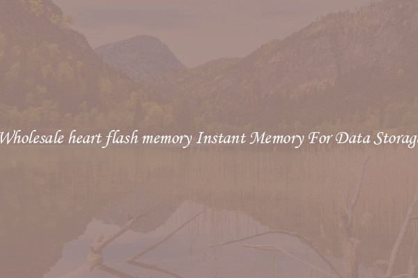 Wholesale heart flash memory Instant Memory For Data Storage
